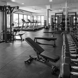 Fitnessabonnement