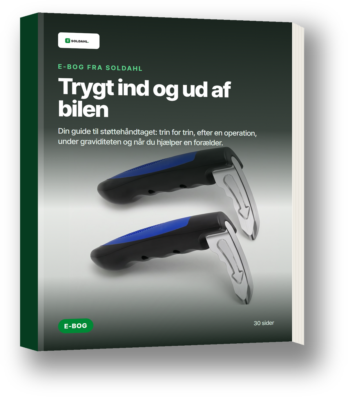 E-bogen Trygt ind og ud af bilen fra Soldahl