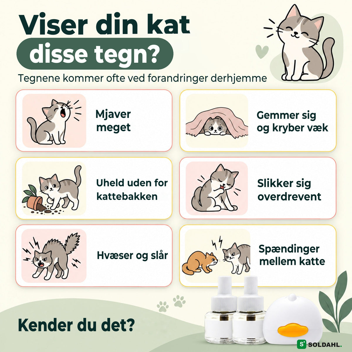 Tegn på en urolig kat: mjaver, gemmer sig, hvæser og spændinger mellem katte