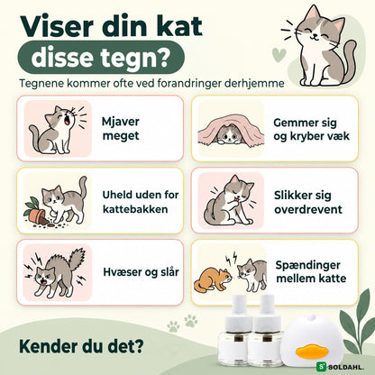 Tegn på en urolig kat: mjaver, gemmer sig, hvæser og spændinger mellem katte