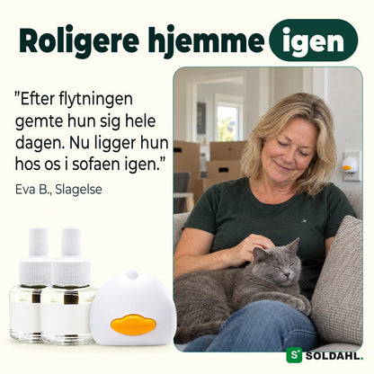 Kvinde i sofaen med en rolig grå kat efter flytningen, Lugnhem i stikkontakten ved siden af