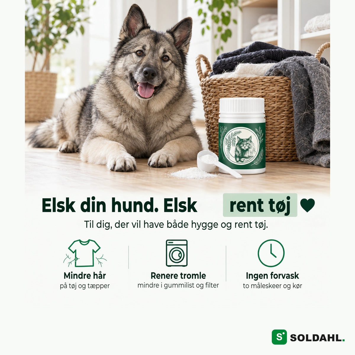 Hund ved siden af vasketøjskurv og Pelsfri, elsk din hund og rent vasketøj